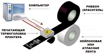Термотрасферная печать принтером этикеток Термотрасферная печать принтером этикеток